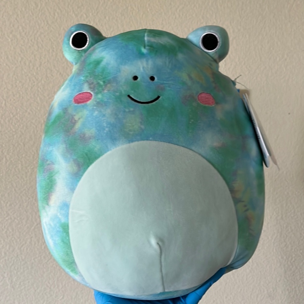 NWT Ferdie Frog Squishmallow